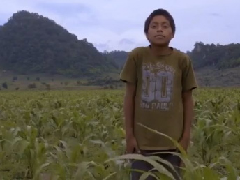 El Sembrador (2018)